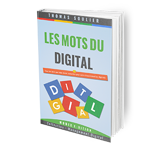 3D-BOOK-LES-MOTS-DE-LA-TRANSFORMATION-DIGITALE