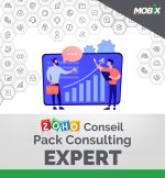Accompagnement Consulting - 1 jour - Consultant Expert - MOBIX