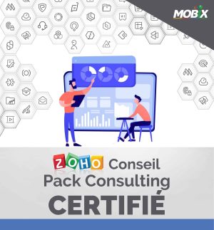 Accompagnement Consulting – Consultant Certifié professionnel-MOBIX