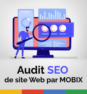 Audit SEO 100 Pages