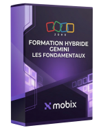Formation Hybride | Gemini : les fondamentaux