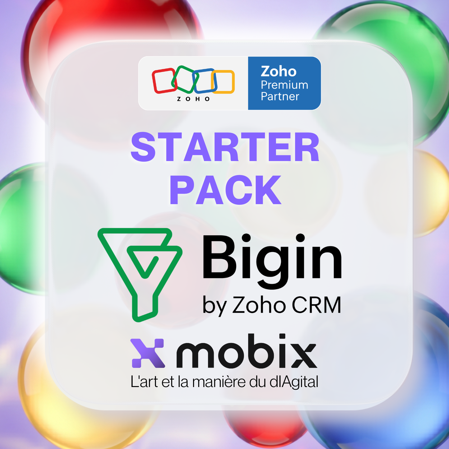 Zoho BIGIN - Pack "Démarrage"