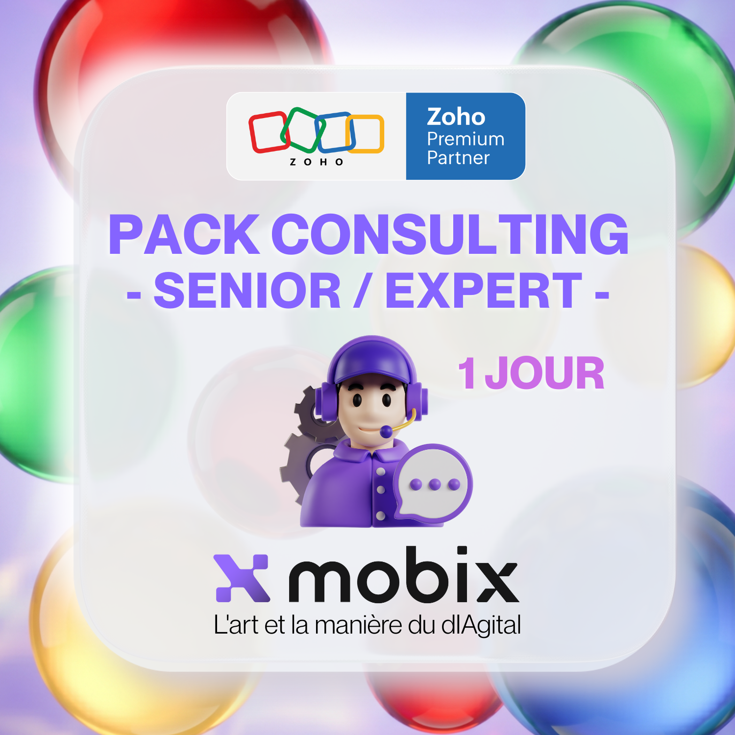 Zoho : Consultants (Profils mixte Seniors / Experts)