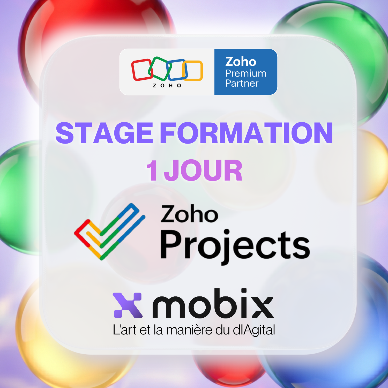Stage Formation | Zoho Projects (chefs de projets et administrateurs)